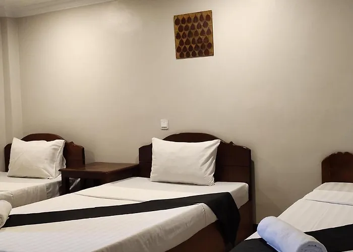 ホテル White Monkey シェムリアップ